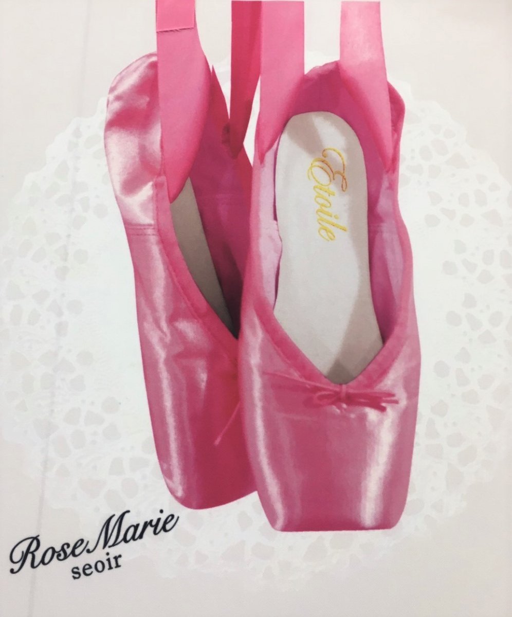 画像3: etude ballet bag(エチュードバレエバッグ) (3)