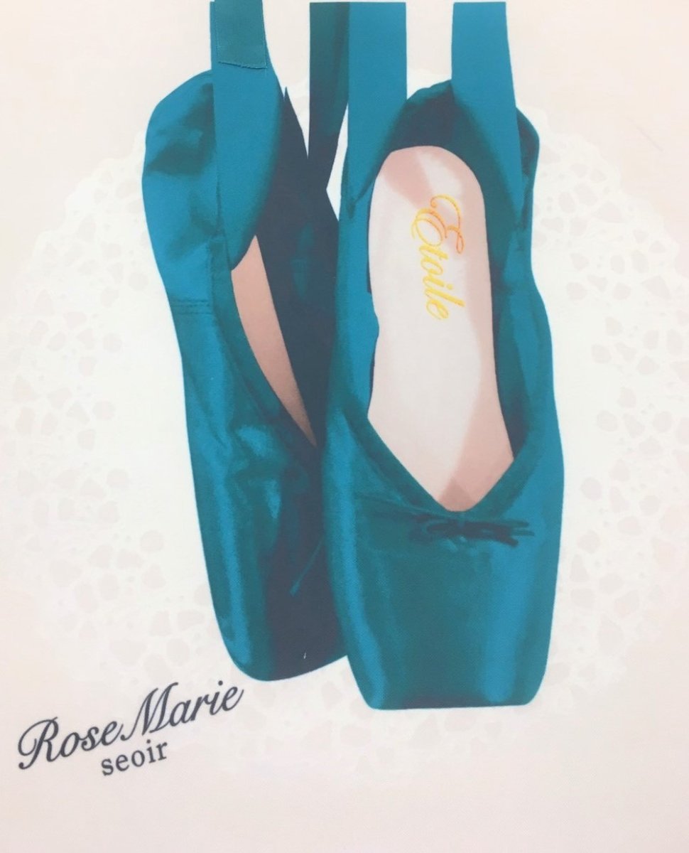 画像12: etude ballet bag(エチュードバレエバッグ) (12)