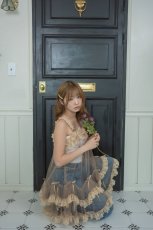 画像7: 【予約商品】tulle one-piece dress（チュールワンピース/ベージュ） (7)