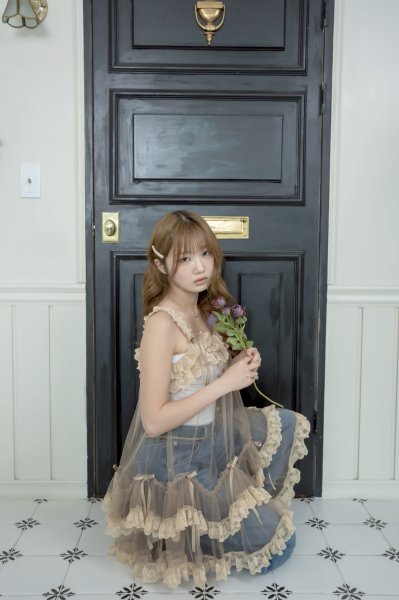 tulle one-piece dress（チュールワンピース） - RoseMarie seoir