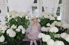 画像43: 【5/24発売予約商品】ribbon tule one-piece dress（リボンチュールワンピース） (43)
