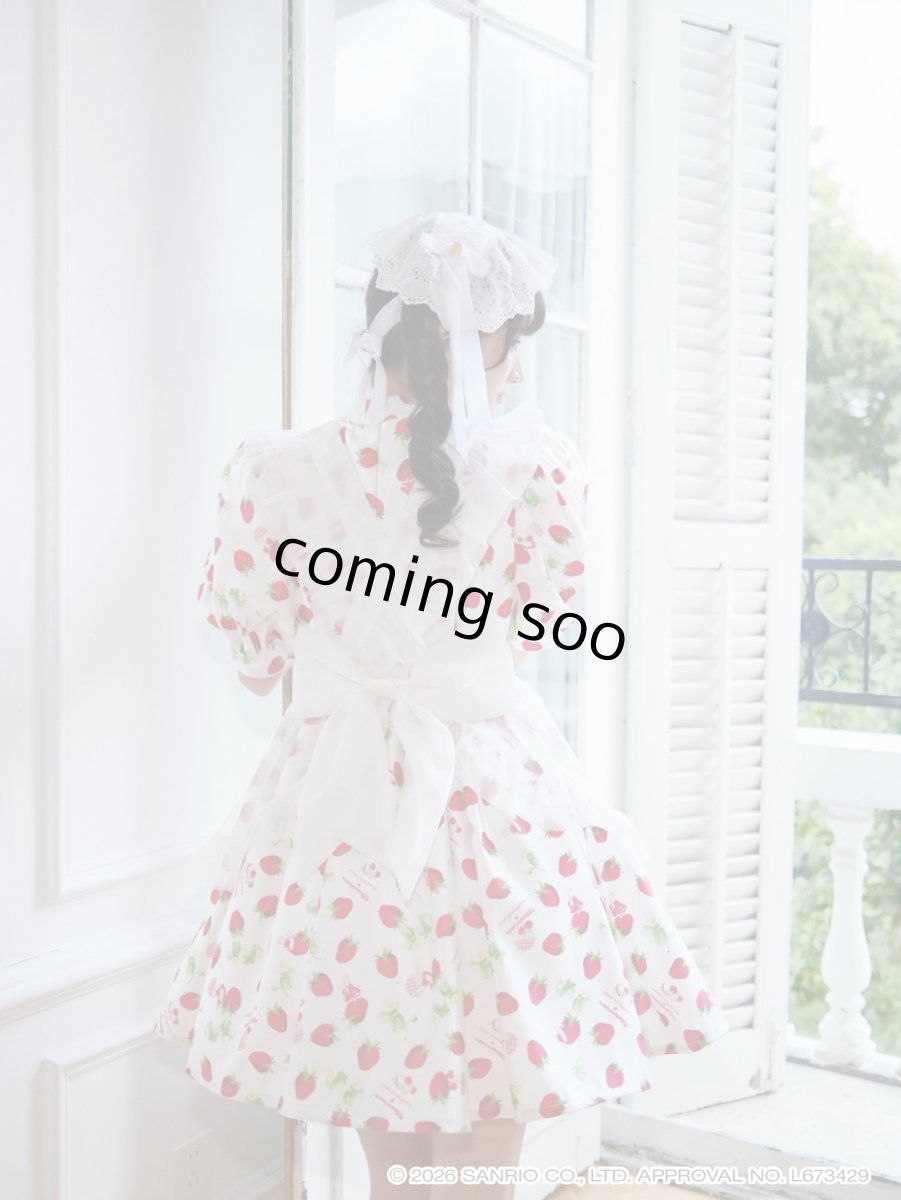 画像11: mini strawberry doll one-piece（ミニストロベリードールワンピース） (11)