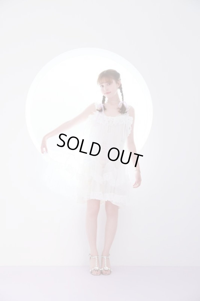 画像5: 【予約商品】tulle one-piece dress（チュールワンピース） (5)