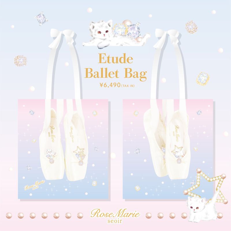 画像1: 【20％off】limited etude ballet bag(限定エチュードバレエバッグ) (1)